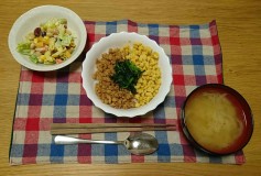 鶏そぼろ丼